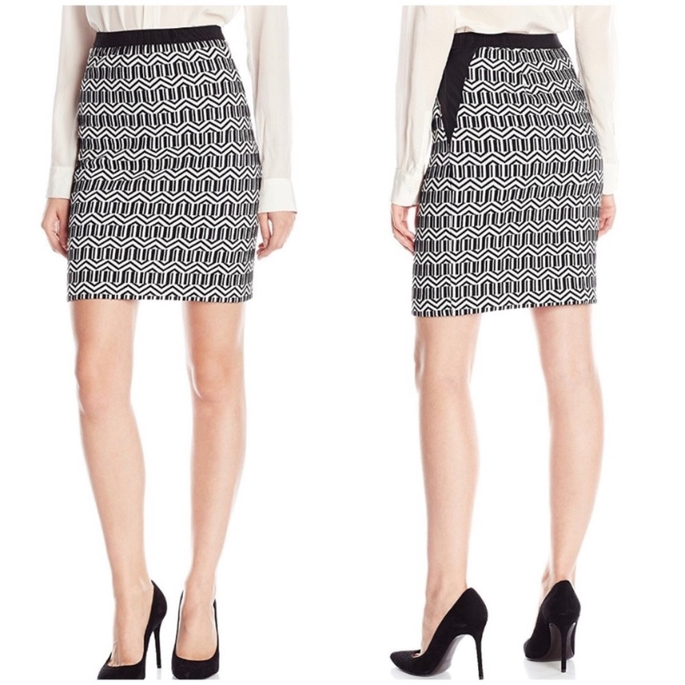 Rafaella Comfort Modern Tapestry b&w pattern skirt